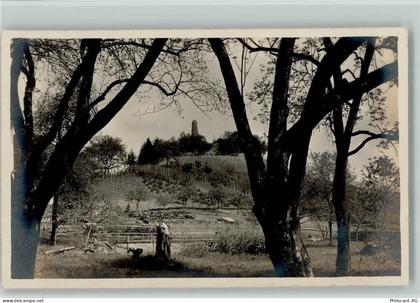 8105 Regensdorf - Ruine Altenburg - 13113017