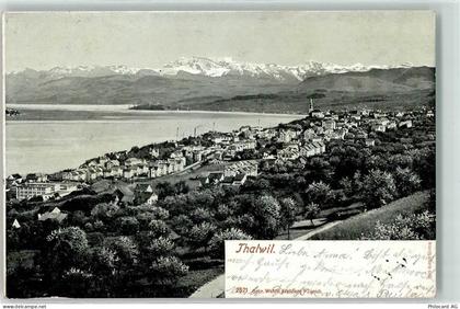 8800 Thalwil 1902 - 13197861
