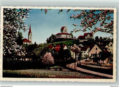 8610 Uster - Baumblüte - 13112400