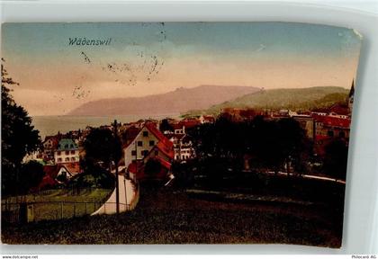 8820 Wädenswil 1907 - 13218098