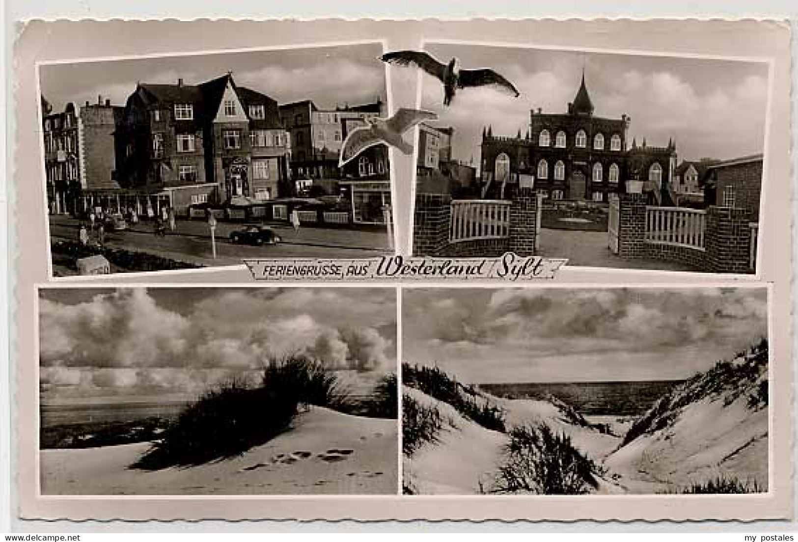 SYLT Insel Schleswig-Holstein Insel Sylt