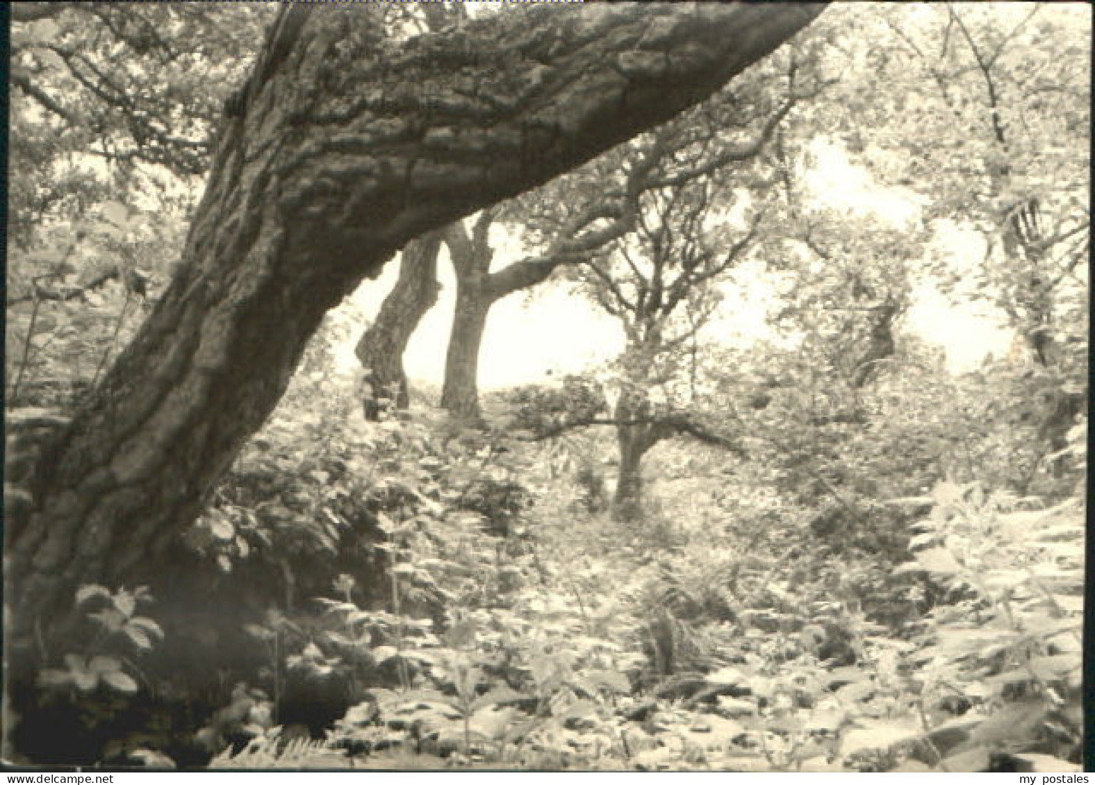 SYLT Insel Schleswig-Holstein Sylt