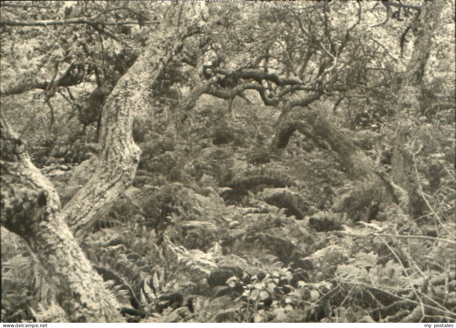 SYLT Insel Schleswig-Holstein Sylt