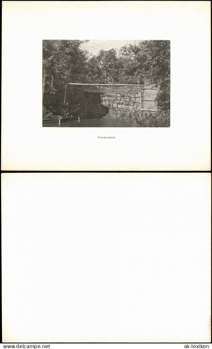 Sylt Vogelkoje Passepartout Sylt 1910