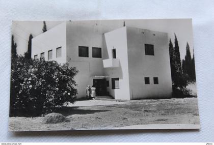 Cpsm, Degania Aleph, musée de sciences naturelles, Syrie