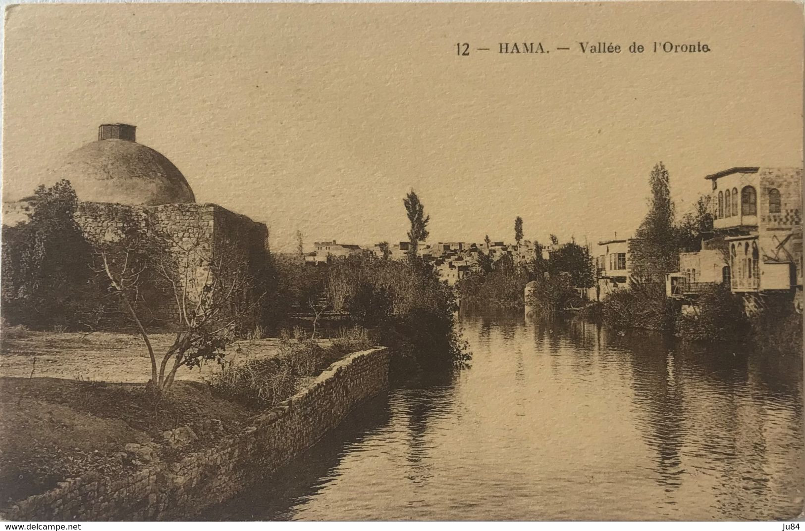 Syrie - Hama - Vallée de l'Oronte - Carte postale vierge