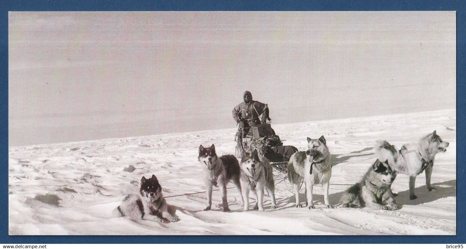 TAAF - Carte Postale - Chiens de traineau - Expéditions polaires Françaises