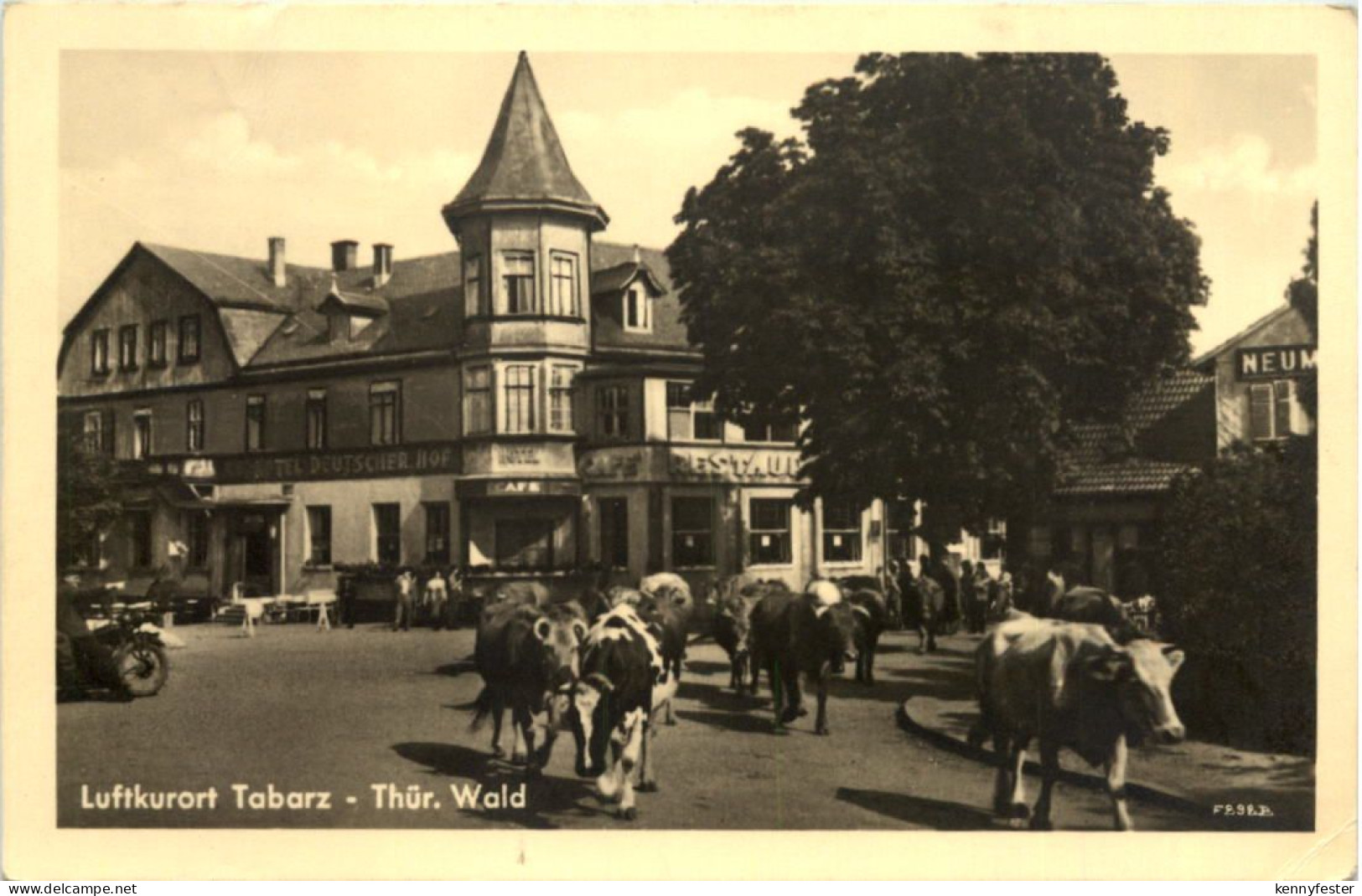 tabarz,