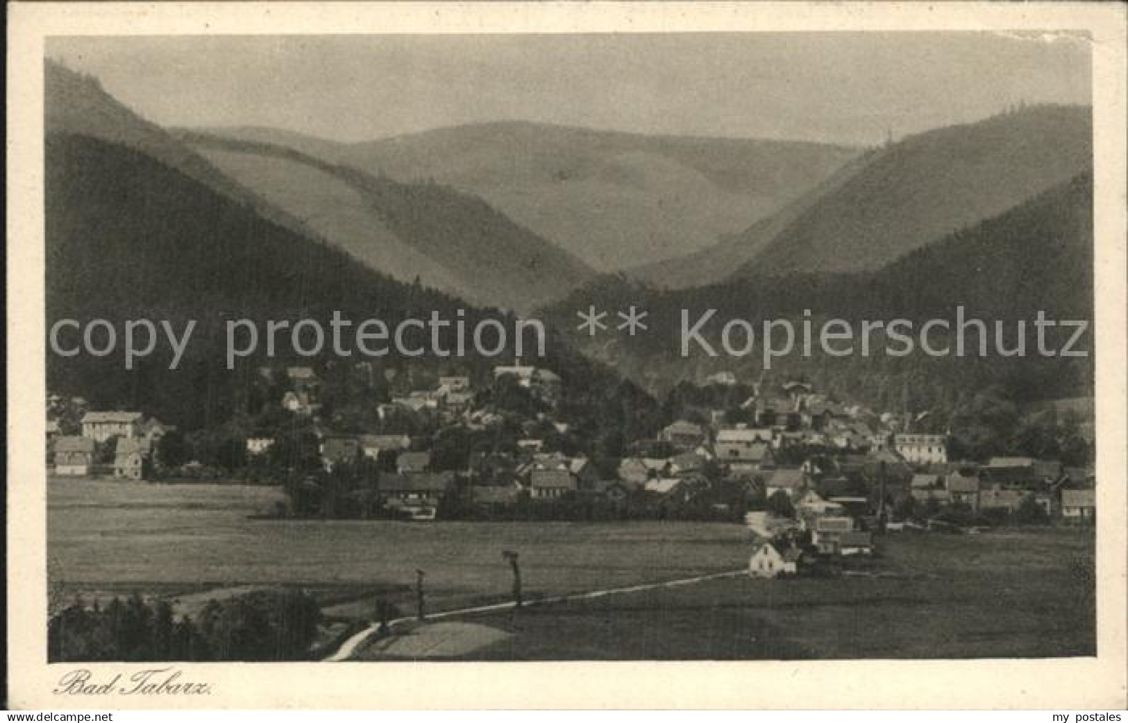 Tabarz Panorama