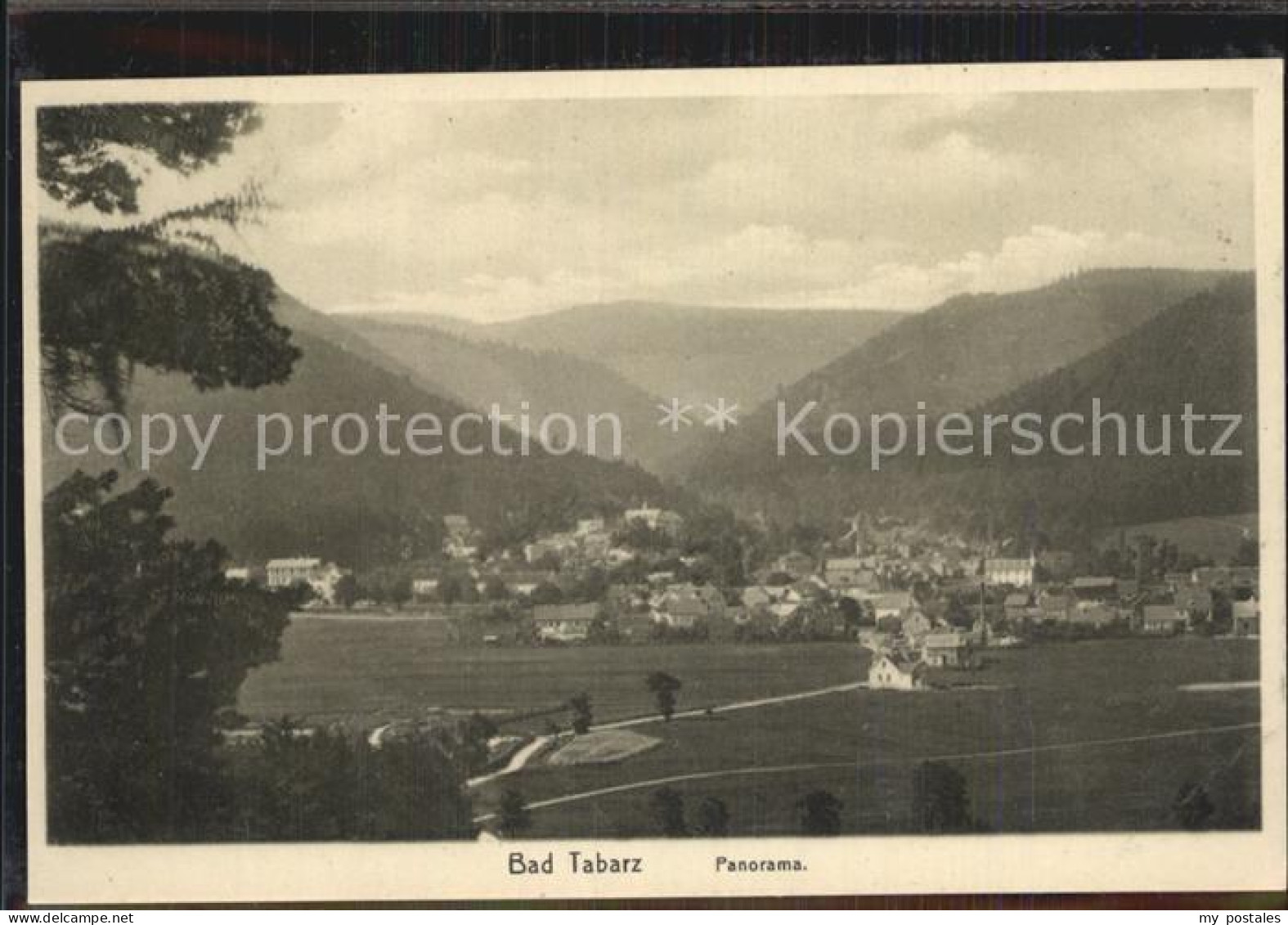 Tabarz Panorama