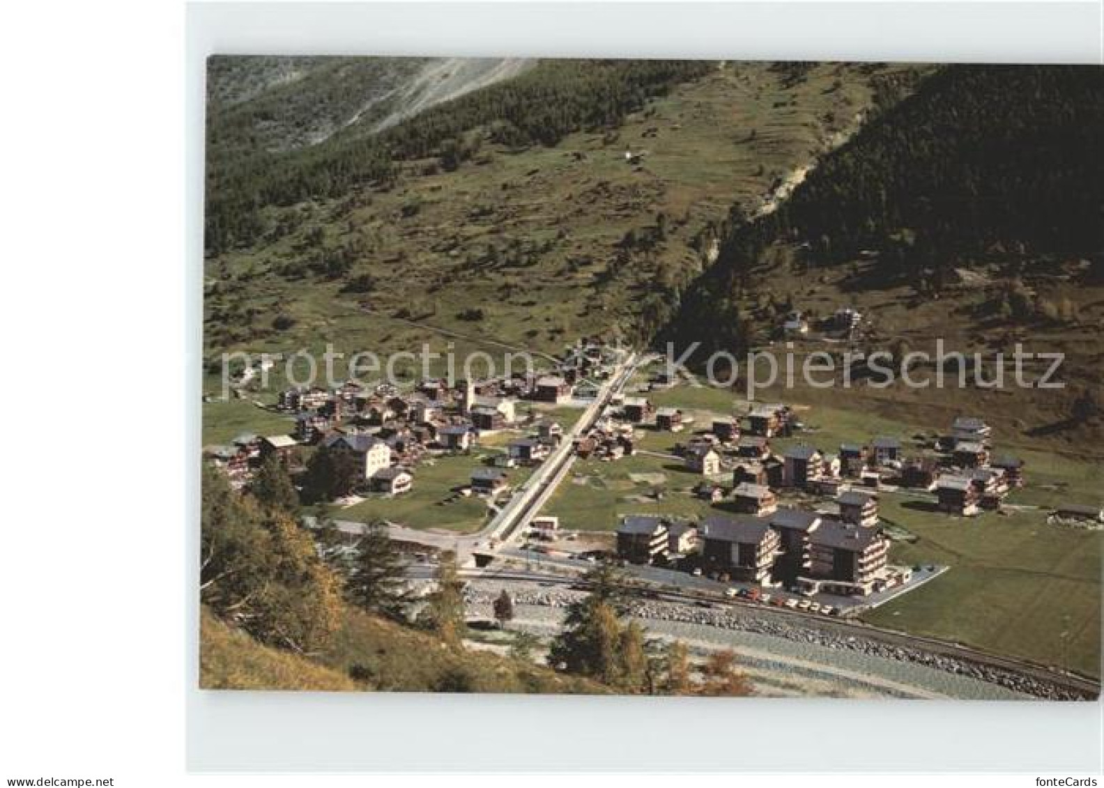 Taesch