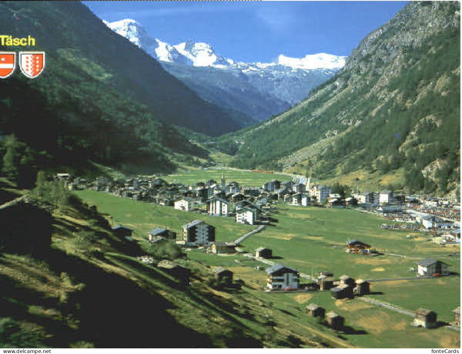 Taesch Taesch