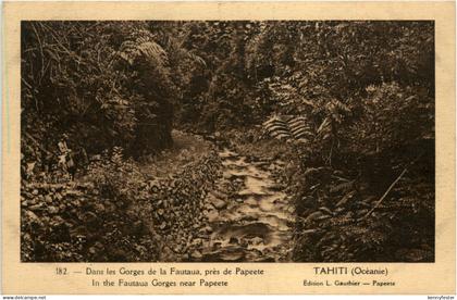 Tahiti - Gorges de la Fautaua