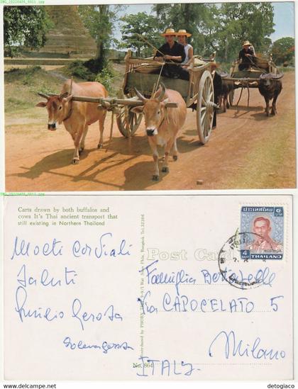 THAILAND - TAILANDIA - CARTS DRAWN BY BOTH BUFFALOS AND COWS - VIAGG. -79456-