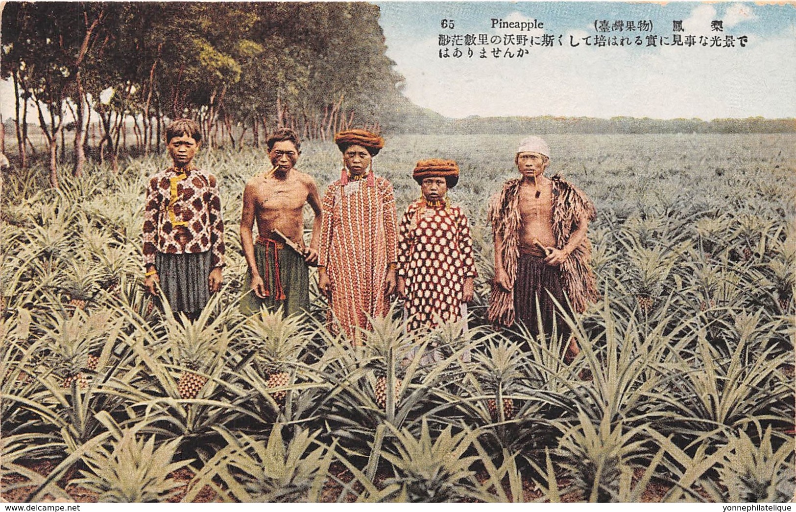 Taiwan / 01 - beau cliché - Pineapple