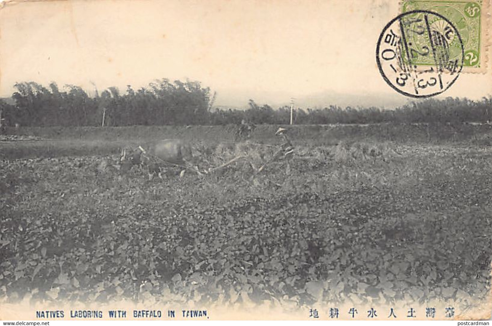 Taiwan - Natives ploughing with a buffalo