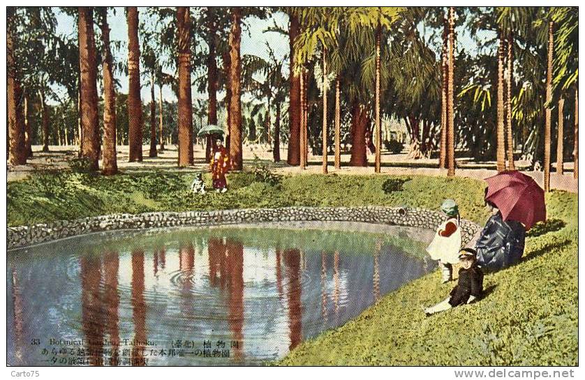 TAIWAN - Taihoku - The Taihoku Botanical garden