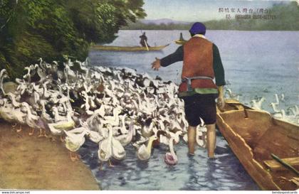formosa taiwan, Native Duck Keeper at Work (1930s) Postcard
