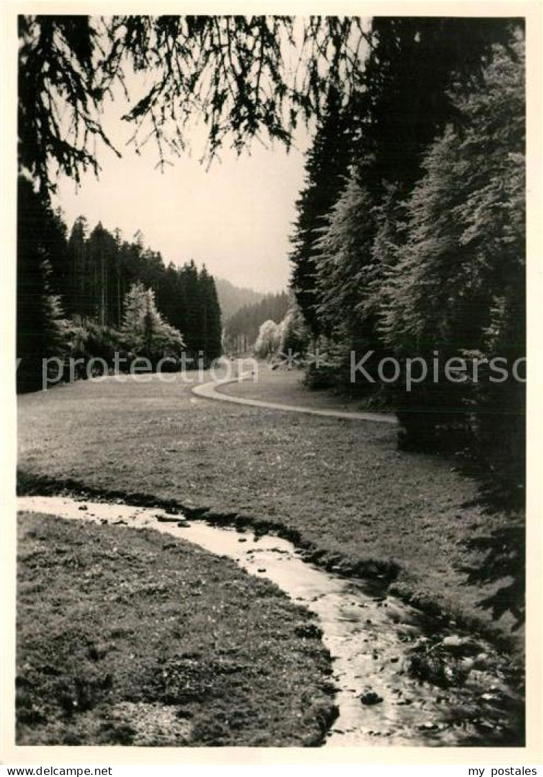 Tambach-Dietharz Apfelstaedtgrund