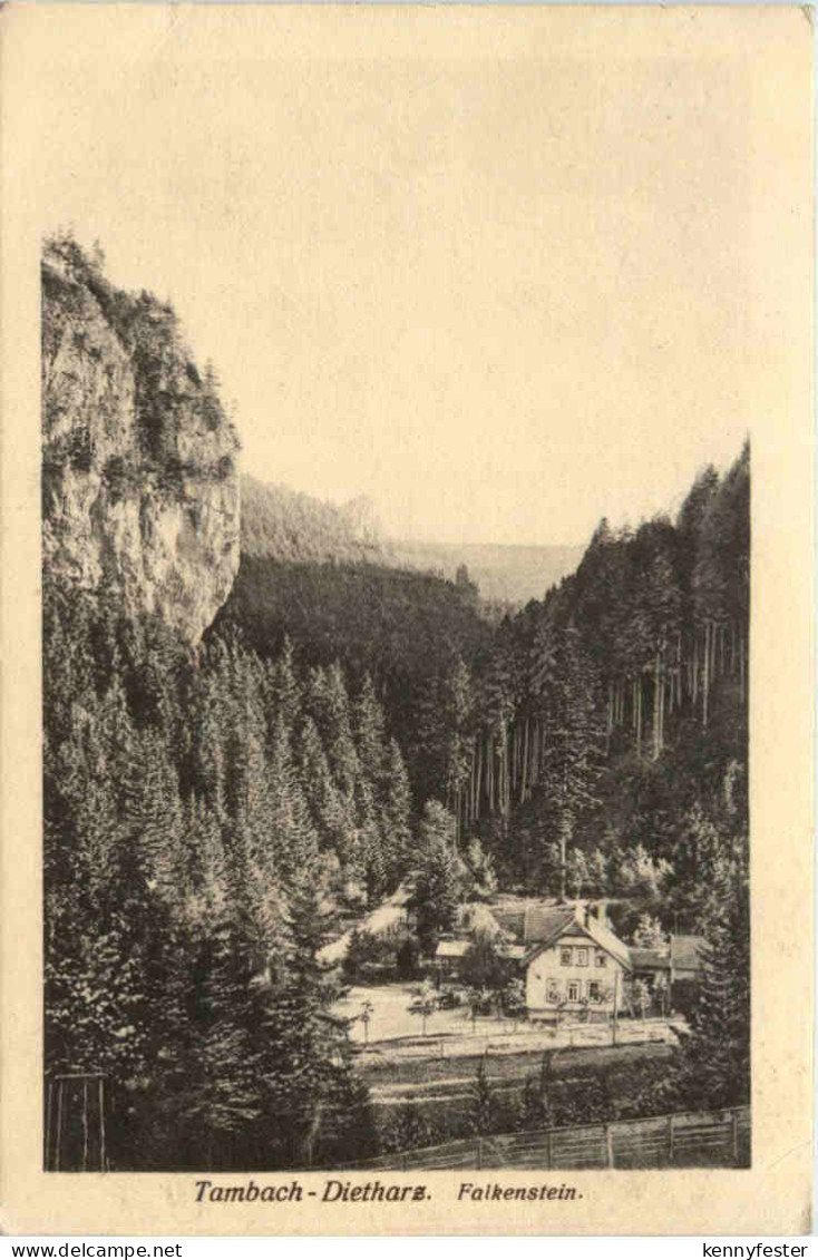 Tambach - Dietharz, Falkenstein
