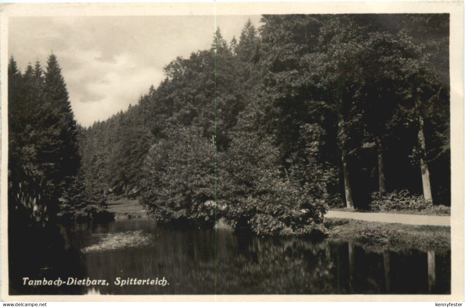 Tambach - Dietharz, Spitterteich