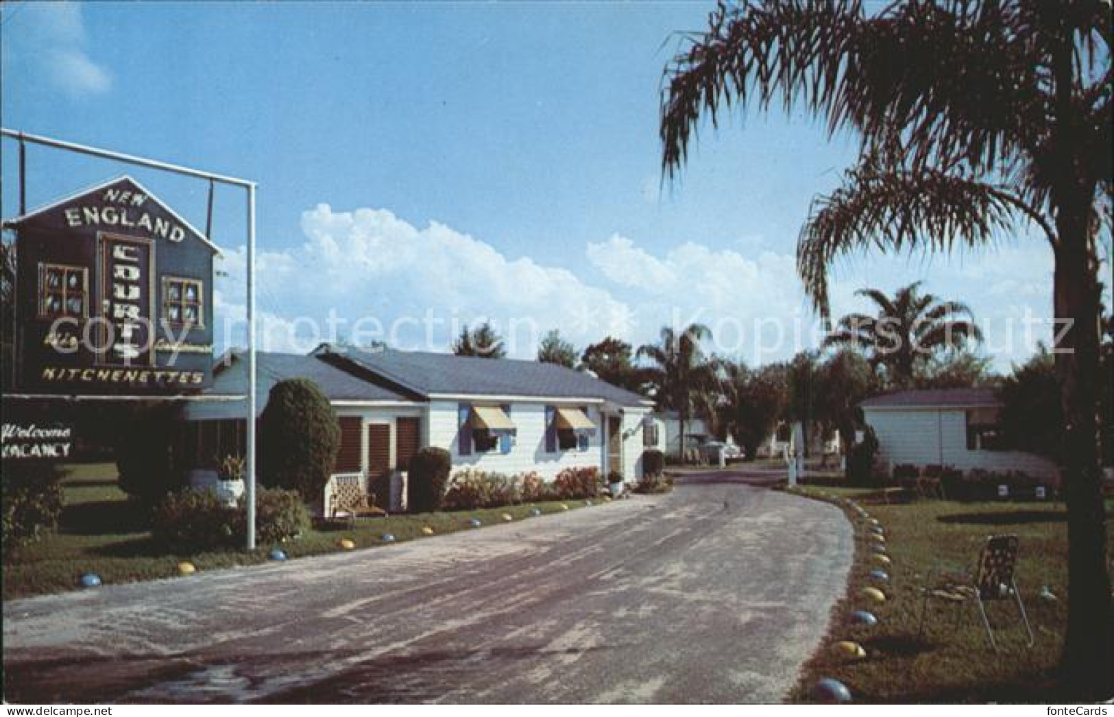 Tampa Florida New England Courts
