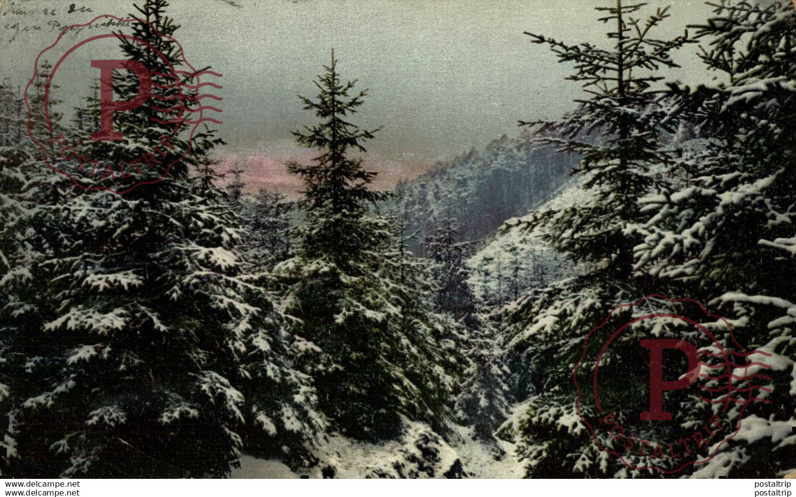 Tampere  FINLANDE FINLAND FINLANDIA