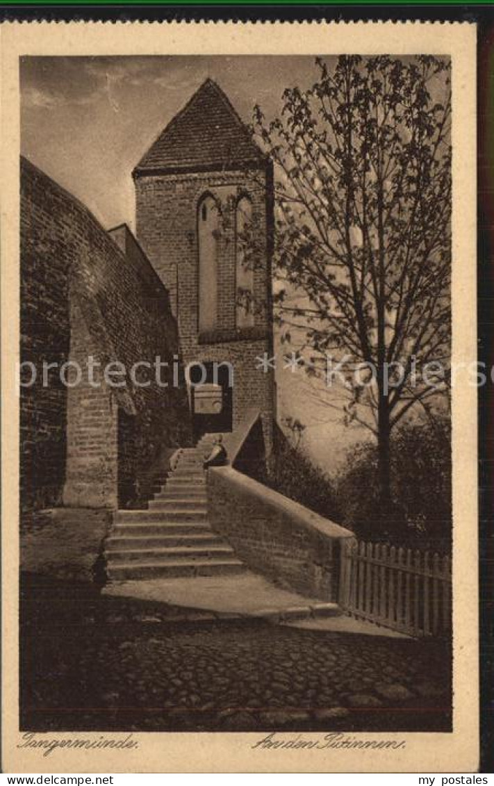 Tangermuende Putinnen