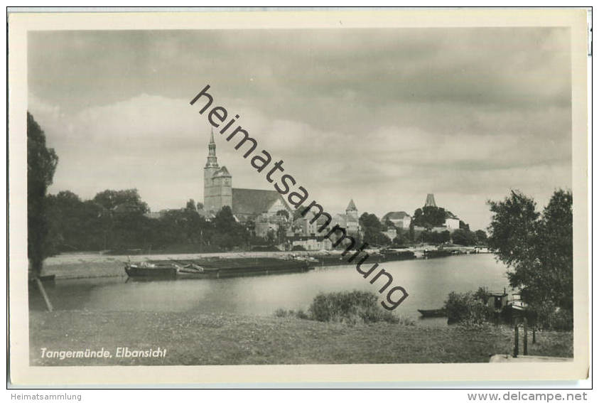Tangermünde - Elbansicht - Foto-Ansichtskarte 50er Jahre - Verlag Trinks & Co Leipzig