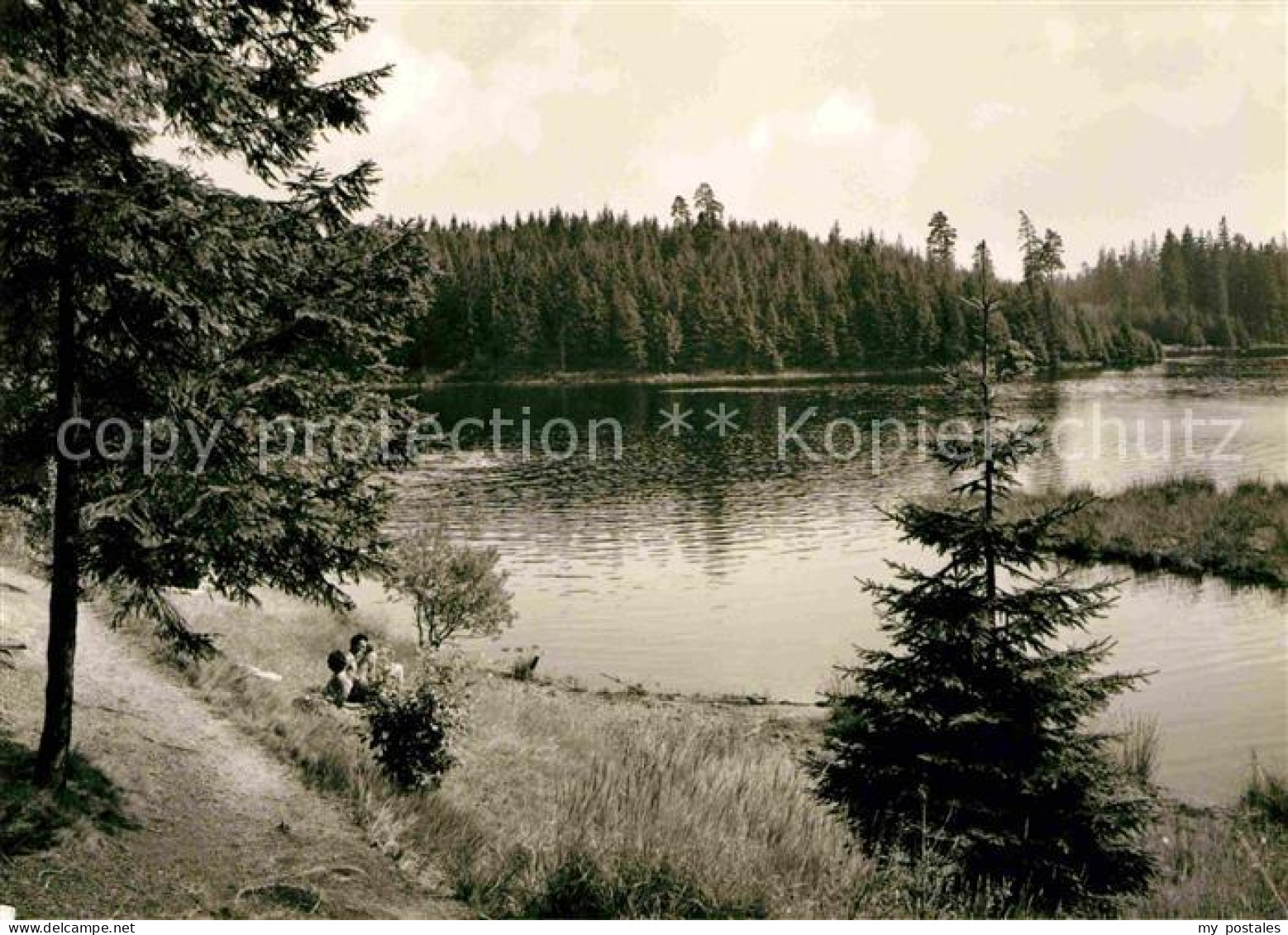 Tannenbergsthal Vogtland Vogtland See