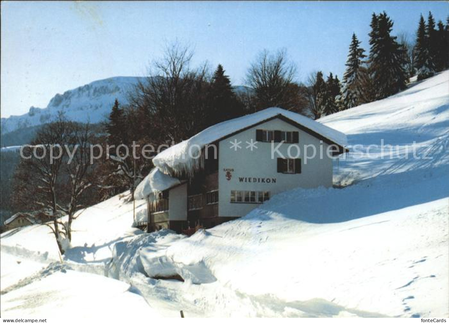 Tannenheim Ski und Ferienhaus Wiedikon