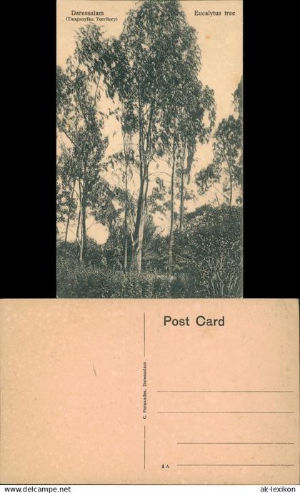 Daressalam Tanganyika Territory Eucal  Tansania Deutsch-Ostafrika Kolonie 1922