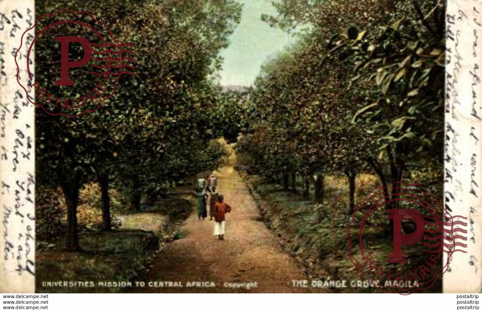 TANZANIA // TANZANIE. MAGILA THE ORANGE GROVE