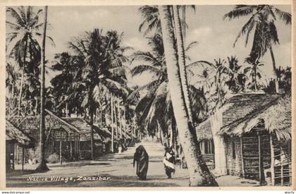 PC AFRICA TANZANIA ZANZIBAR NATIVE VILLAGE (b64116)