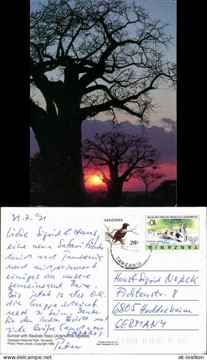 .Tansania Sunset with Baobab trees (Baum Bäume Sonnenuntergang) 1991/1990