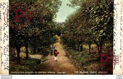 TANZANIA // TANZANIE. MAGILA THE ORANGE GROVE