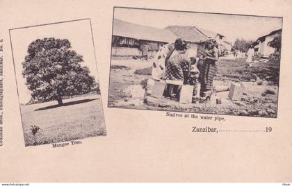 TANZANIE(ZANZIBAR) GRUSS