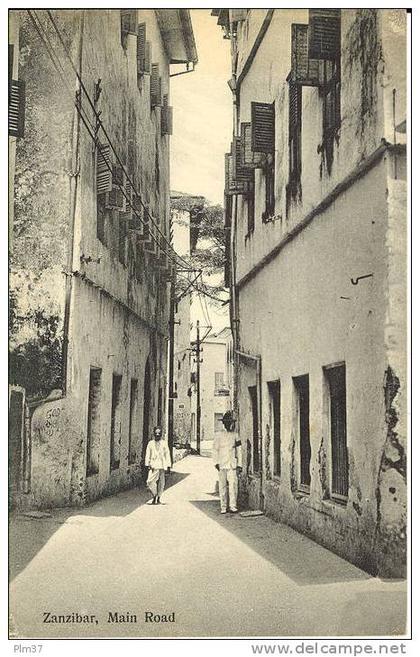 ZANZIBAR - Main Road