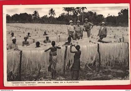 AFRICA   TANZANIA  TANGYANIKA  DRYING SISAL   ETHNIC   RAPHAEL TUCK SERIES