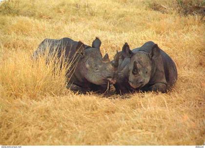 Carte Postale - Tanzanie - Rhinocéros - Black Rhinos - Animaux - CPM - Voir Scans Recto-Verso - Poscard - Carta Postal -