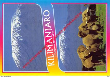 Tanzania - Mount Kilimanjaro