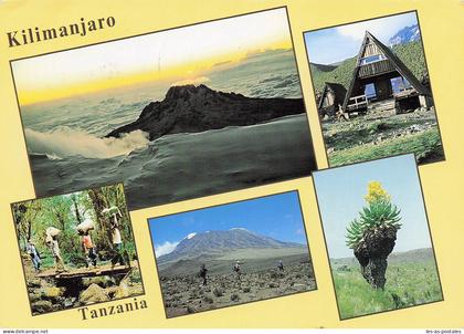 TANZANIE KILIMANJARO