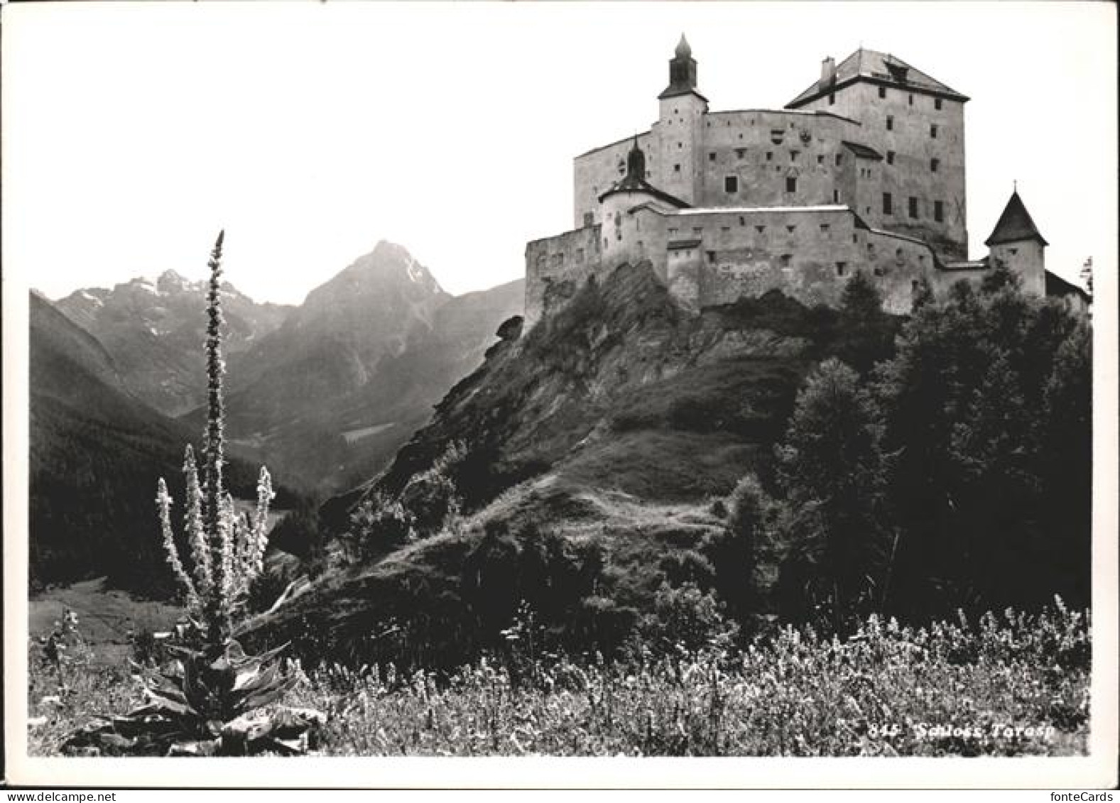 Tarasp Schloss Tarasp