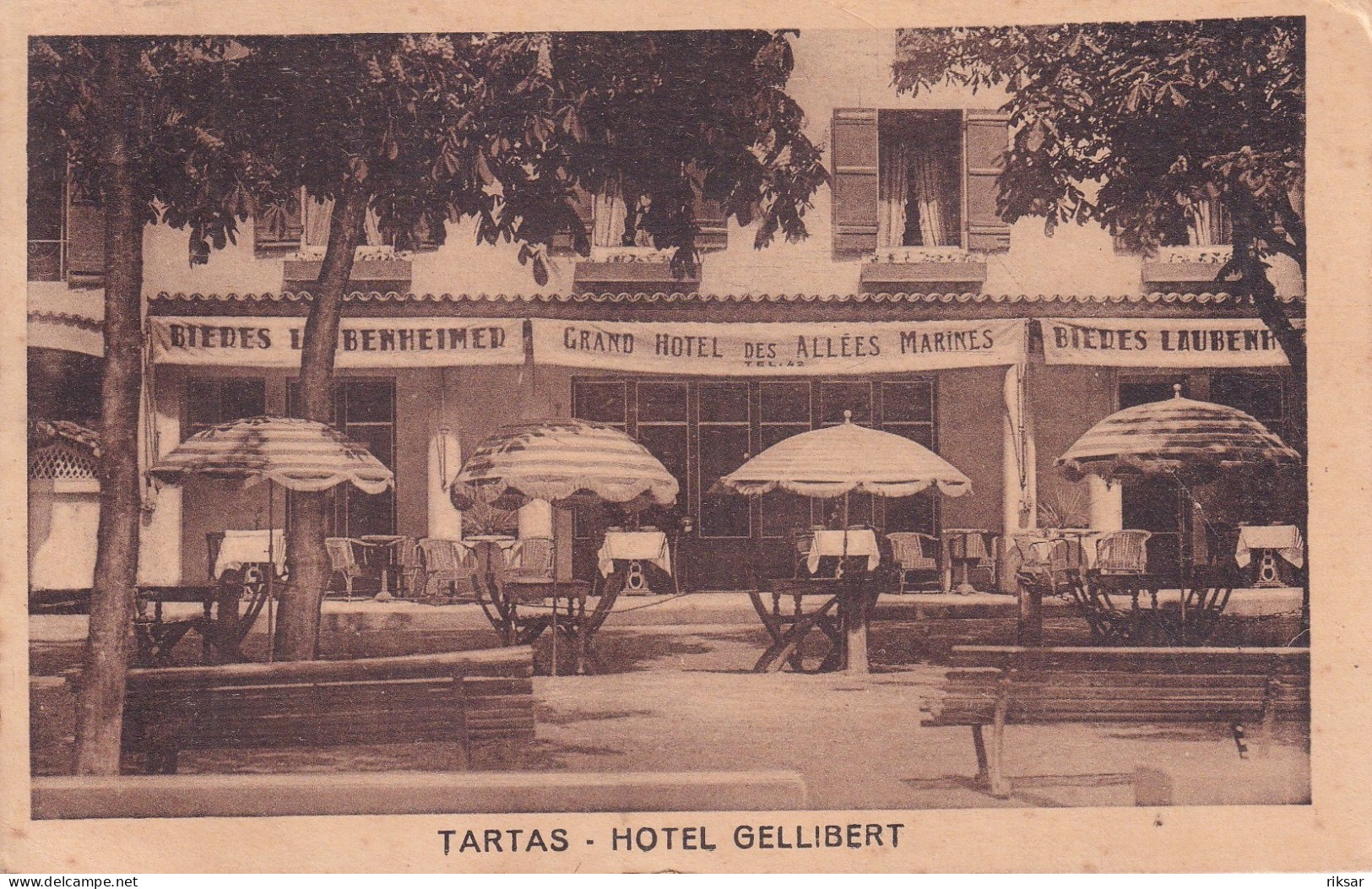TARTAS(HOTEL GELLIBERT)