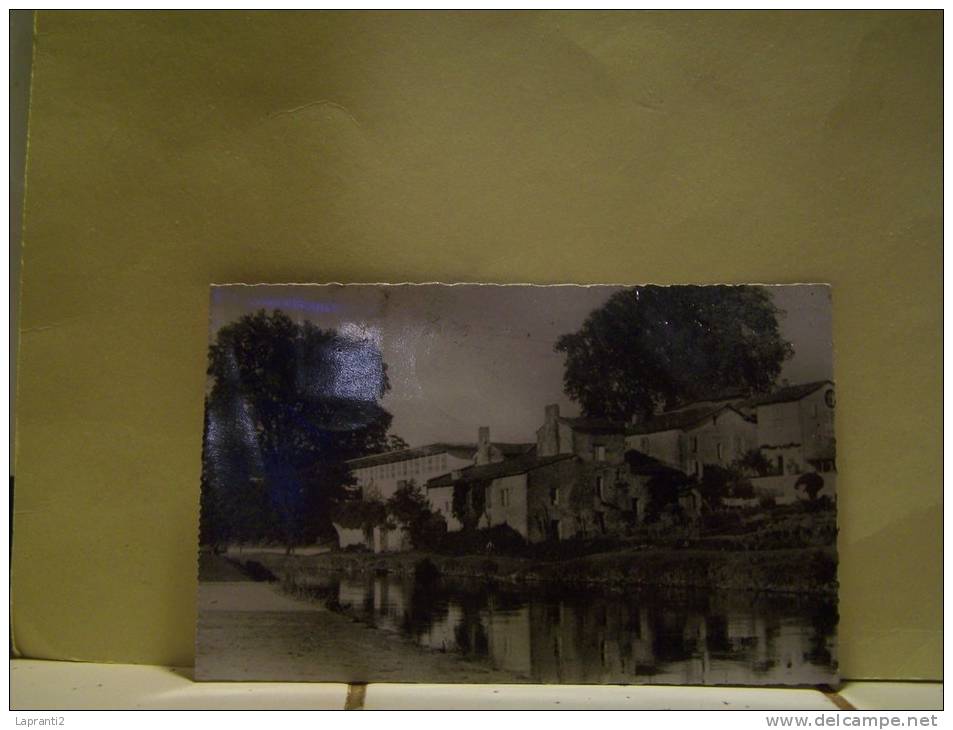 TARTAS (LANDES) UNE VUE DU MARCHE COUVERT