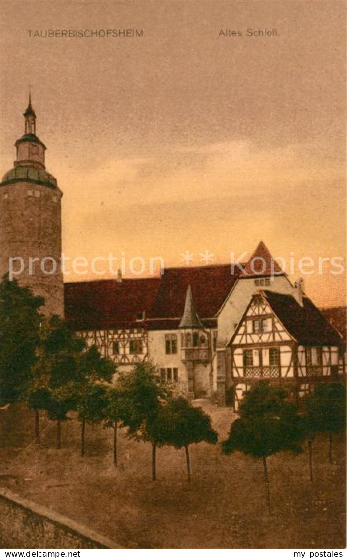 Tauberbischofsheim Altes Schlo