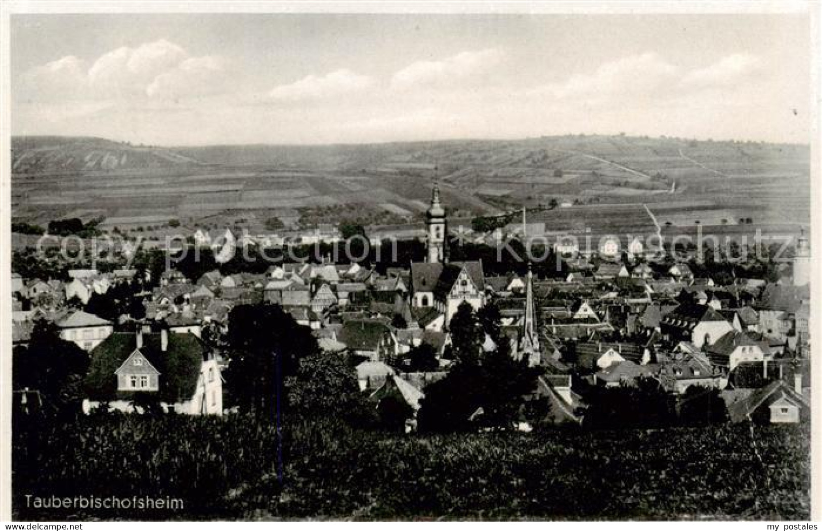 Tauberbischofsheim Panorama