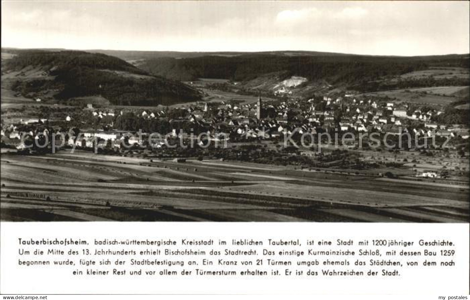Tauberbischofsheim Panorama