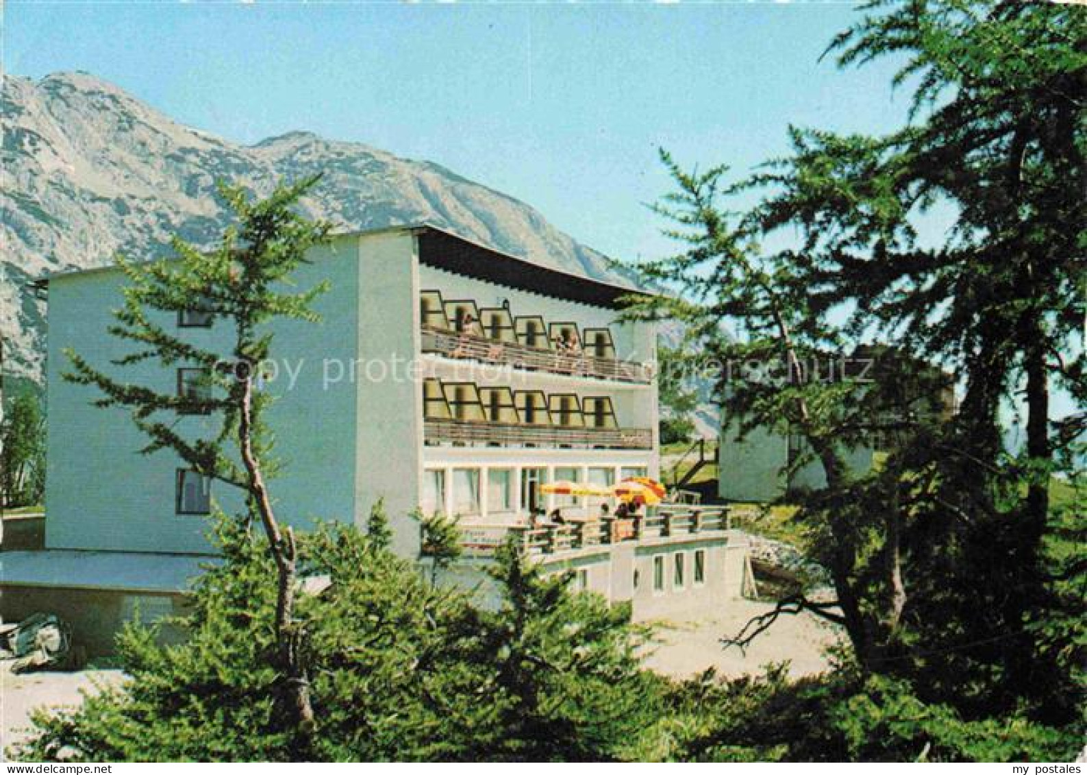 Tauplitz Liezen Steiermark AT Alpenhotel Grossee Pension Restaurant