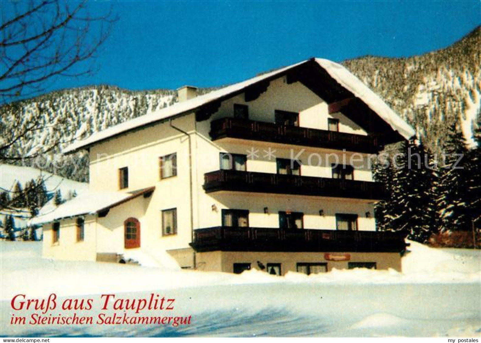 Tauplitz Pension Kohlmayr im Winter